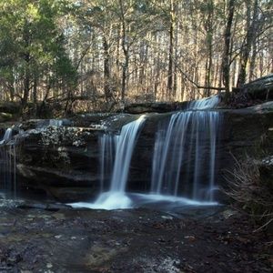 Meet your Posher, Leo